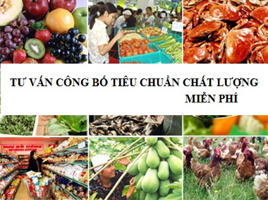 CÔNG BỐ TIÊU CHUẨN CHẤT LƯỢNG THỰC PHẨM